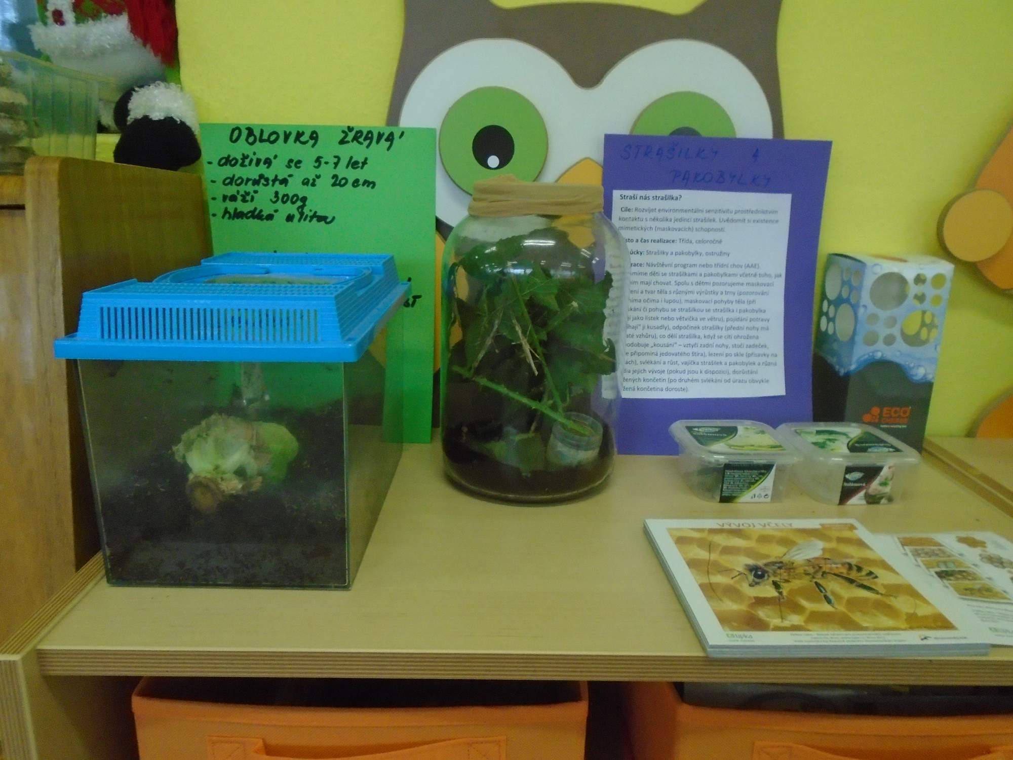 Educoffee – Environmentální výchova v mateřské škole